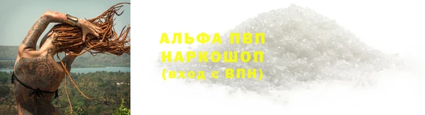 экстази Бородино