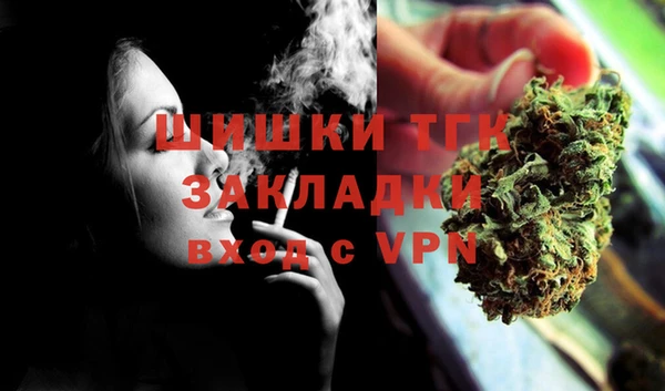 экстази Бородино