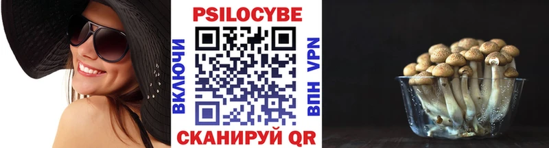 MEGA ссылка  Гагарин  Галлюциногенные грибы Cubensis 
